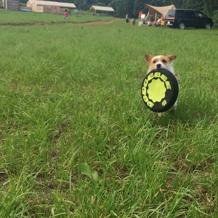 Cee8d6c1 dcf6 4b60 a237 3dae9409efb3