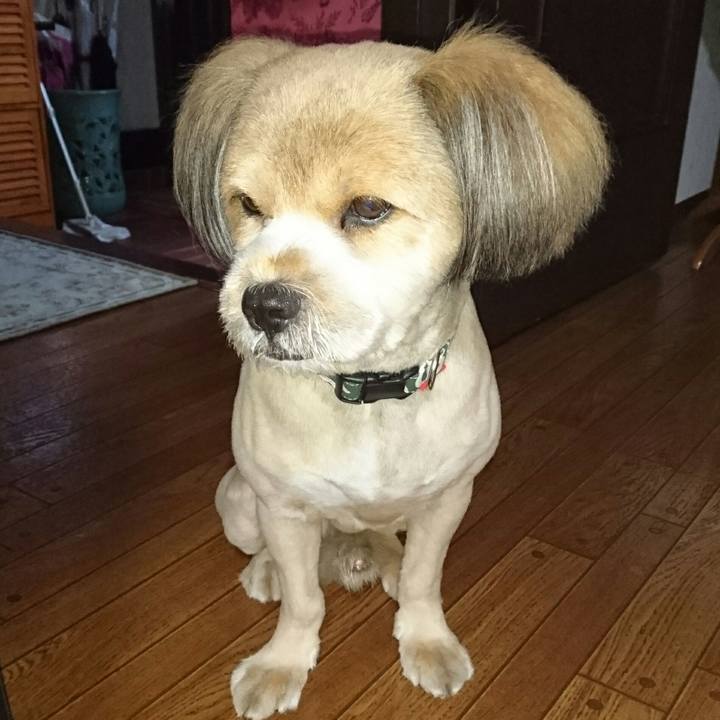 Ceea072a c8ac 4872 a9f5 10ba15a98184