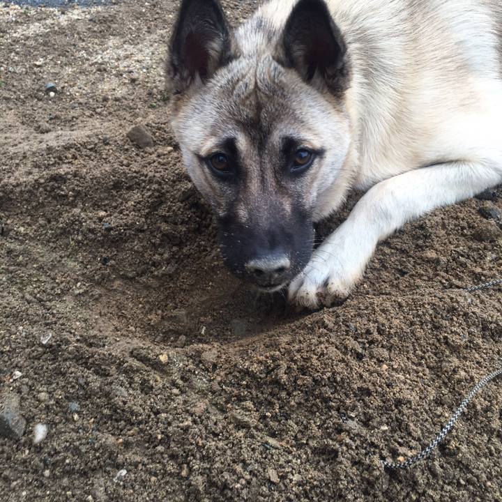 Ceeb49a2 e22d 4f31 8179 8ca7dfd46cdb