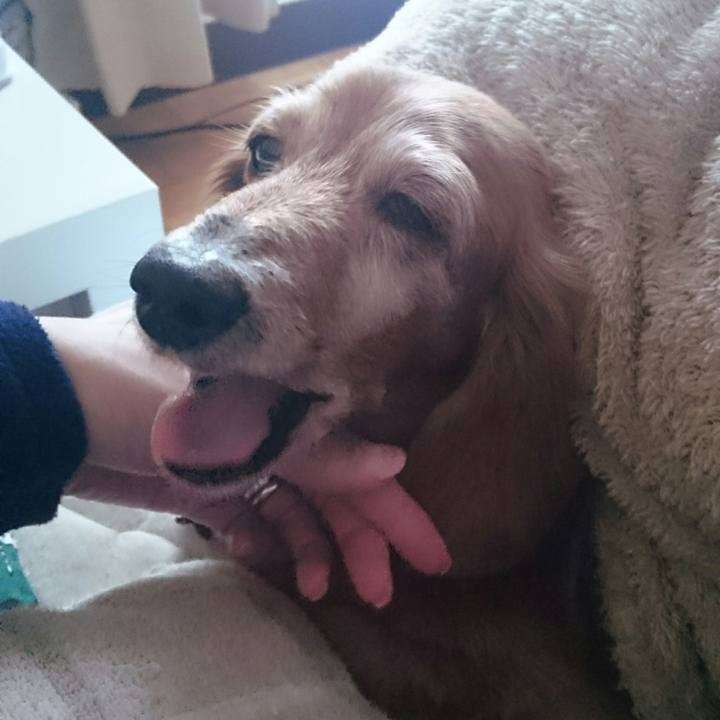 Ceeb6ad5 d342 454d 9374 5ac3c7e5b7d0