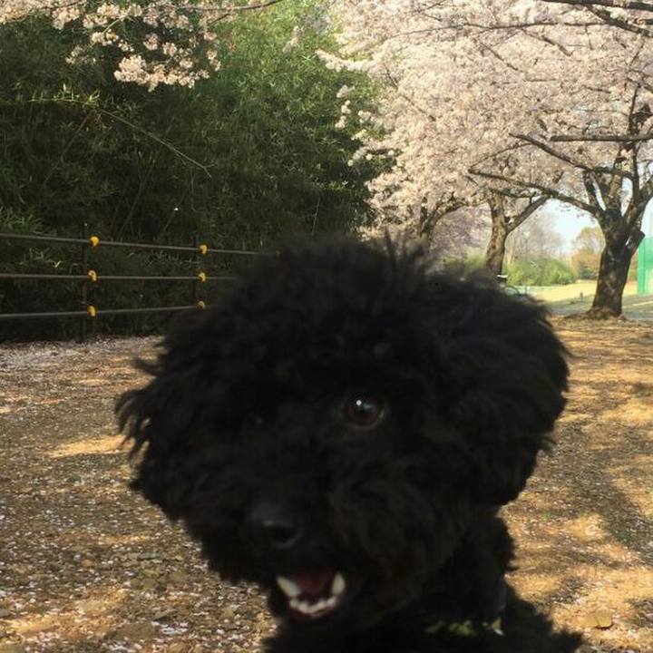 Ceeba242 246b 41ff a08c 26af92272198