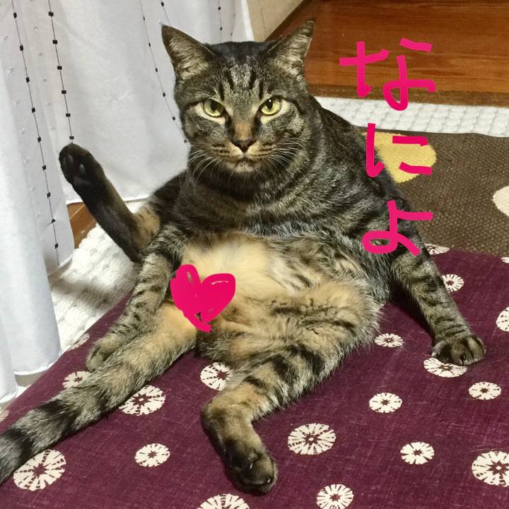 Ceebbdbc 5ce7 4aa7 a4a5 4fed3afb9d98