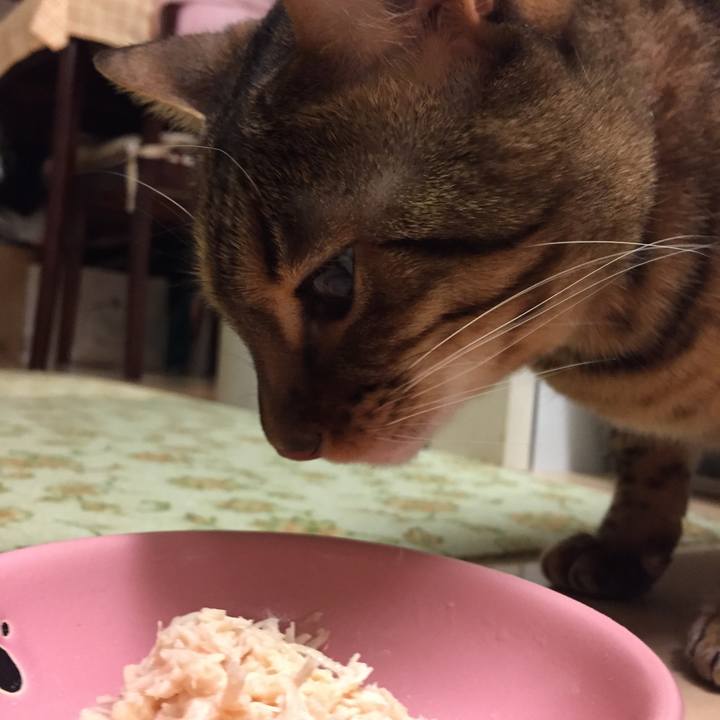 Ceebe074 783a 48c4 951c 3d7b520881de