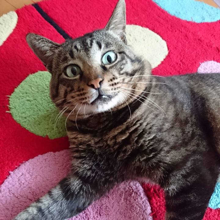 Ceec5f39 d44d 4f59 84e7 4d24aa2df89a