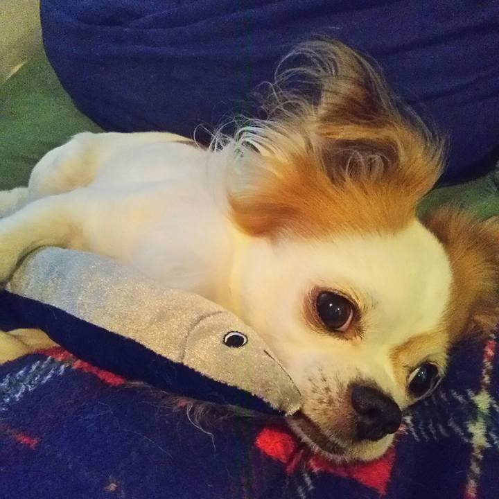 Ceec6346 dbe2 44e9 a3ed 032ec676b413