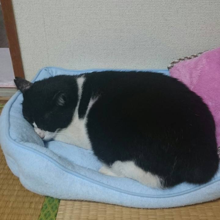 Ceec7ad4 b8af 4765 8574 953ca4dc5c86