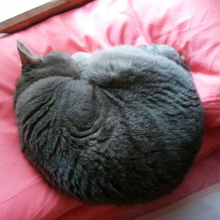 Ceed8be9 35bc 420f aa15 e04fba6e0379