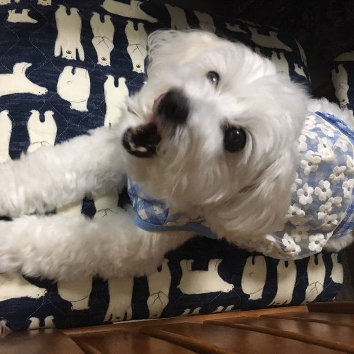 Ceedb53e b9bc 4456 9f54 b629042f2330