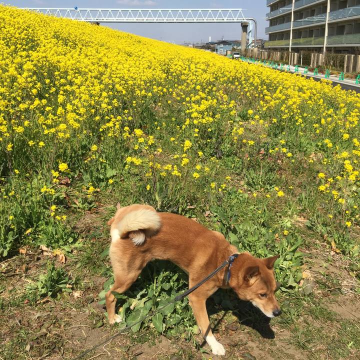 Ceee39d5 de23 4133 a238 3c85c721ac30