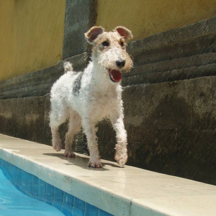 Ceee469f 2a6c 44a6 93ed 1267e8962d9f