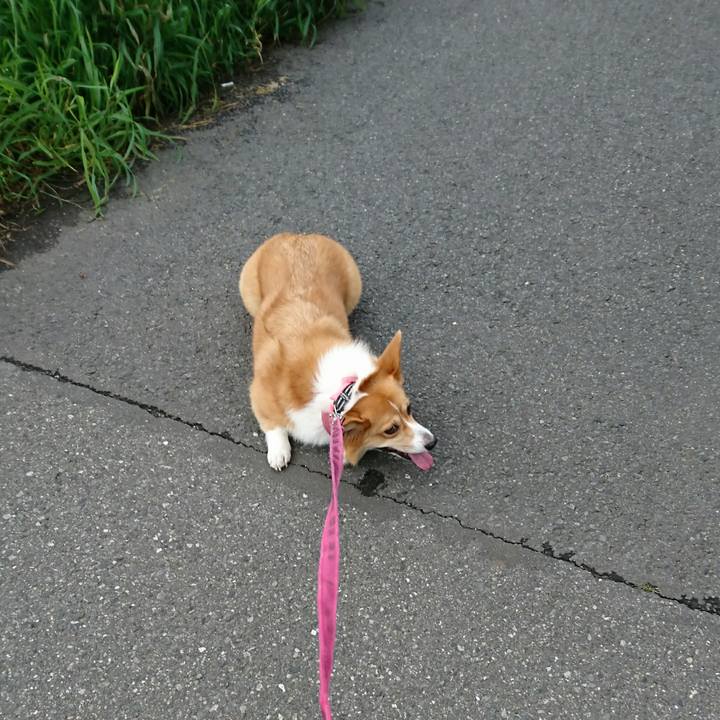 Ceee6a58 64c3 411b 99fb 000727df45eb