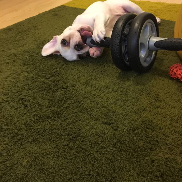 Ceef812d 6a3e 4b58 ac9f e69d9391a240