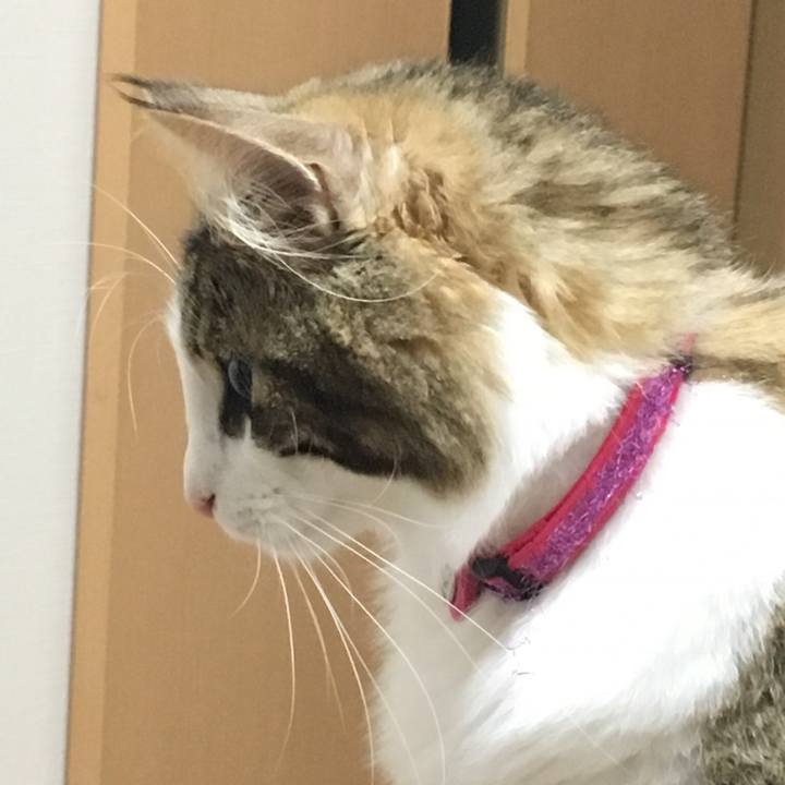 Ceef9379 fe96 4750 bde8 d3c462696a7a