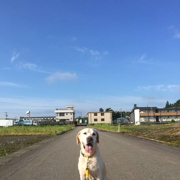 Cef111b5 3d1a 4767 9be0 1854225f0ceb