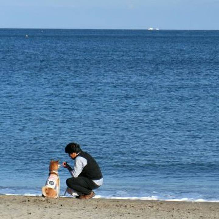 Cef170e9 dad6 478d a33e 10755d743d95