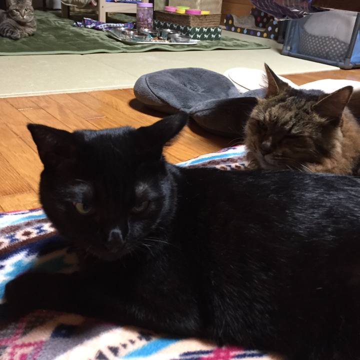 Cef193e2 f08d 48bd 8f30 313461bd57d0