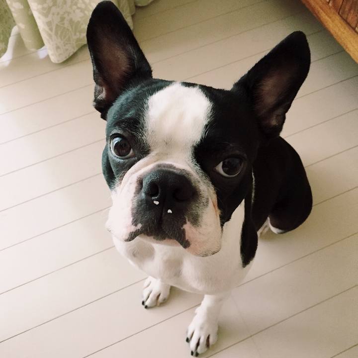 Cef250e8 d29a 4cd0 85df d950d06b77dd