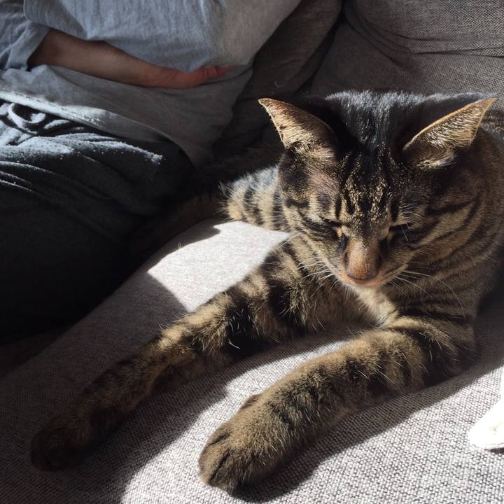 Cef25384 704a 46f5 b81c 088e87a4cc61