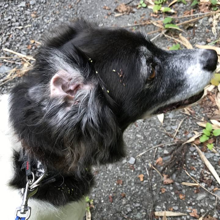 Cef27320 663f 487d 8834 fe7a91f3725d