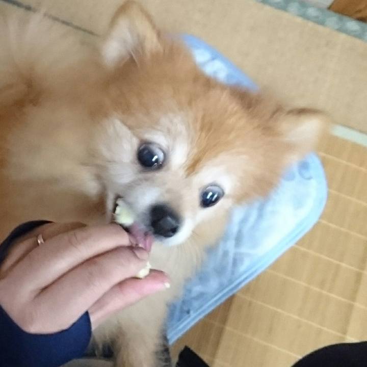 Cef2cc59 e413 4b33 906f ed0d440a90f3