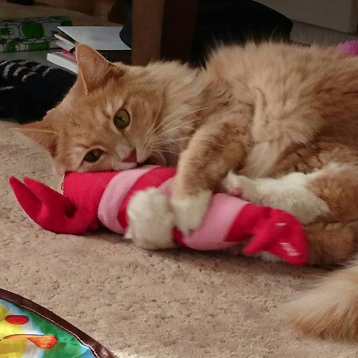 Cef35272 9514 4213 9a54 7dab4d0266df