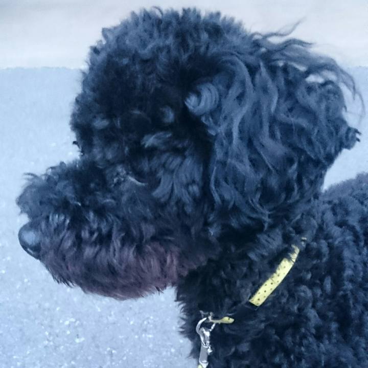 Cef35e32 68a2 47d2 ae33 99f5d93b0dec