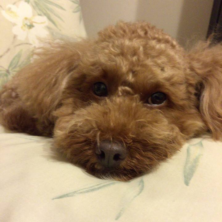 Cef35e6a e009 43ad b875 d21e75be7d26