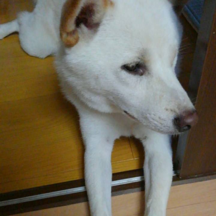 Cef39194 79a1 429c b645 d79f5c10671e