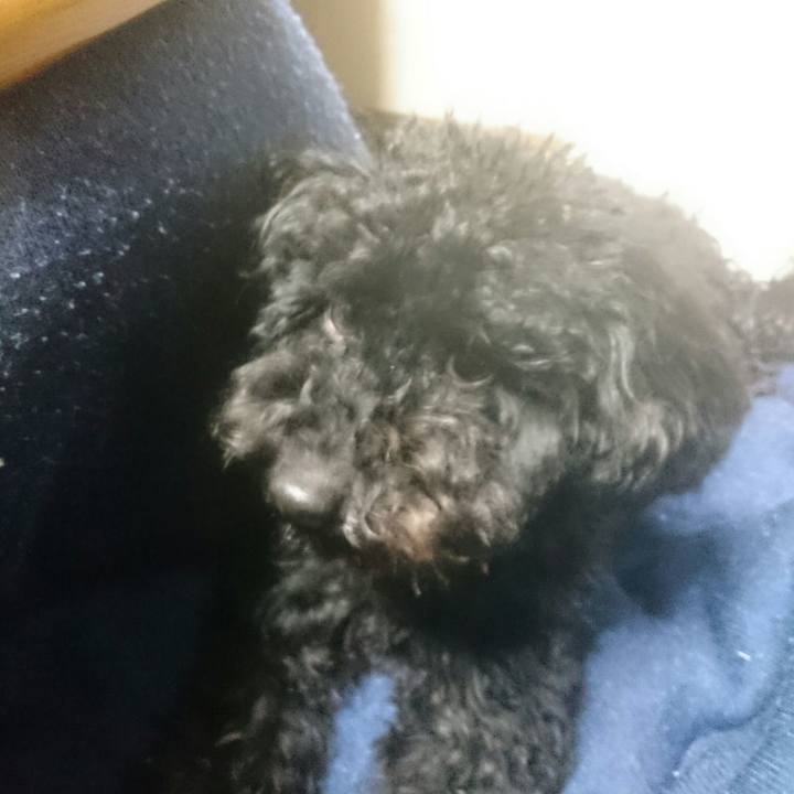 Cef3a941 bd61 46a5 8e80 fbb21367de9d