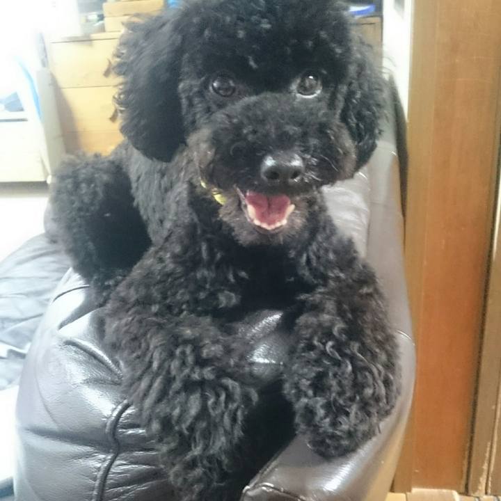 Cef3d84e 1c4b 496e bf03 5e1803c84ec1