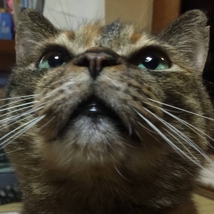 Cef42b40 ef95 4fbb 9efc 22b6ac72a91c