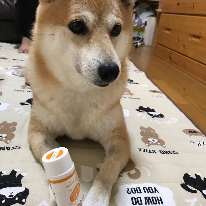 Cef4489e ac44 4853 8263 09b497d12326