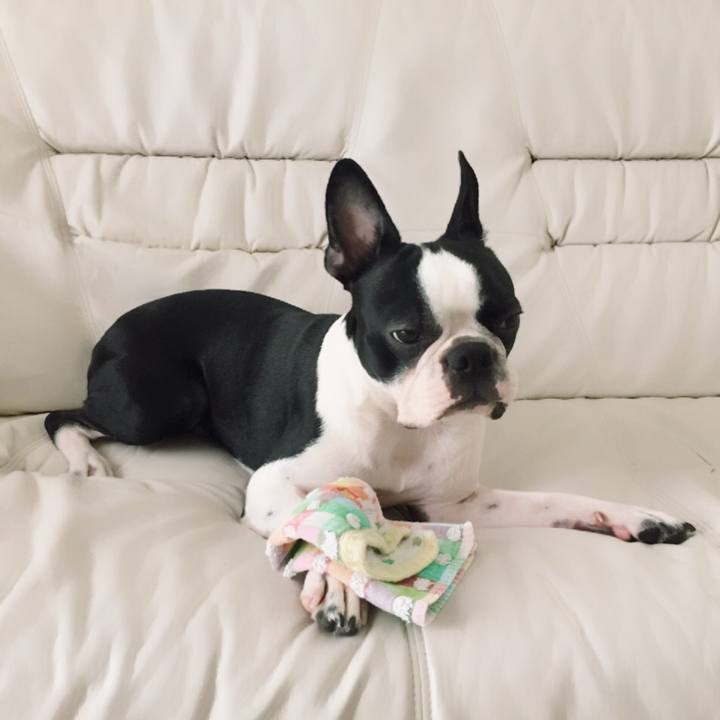 Cef4b3fd 0668 4e60 a929 71ad6c8cca47