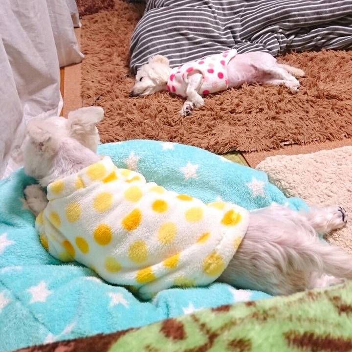 Cef52848 33d0 4339 b358 ffdb2cfffaf6