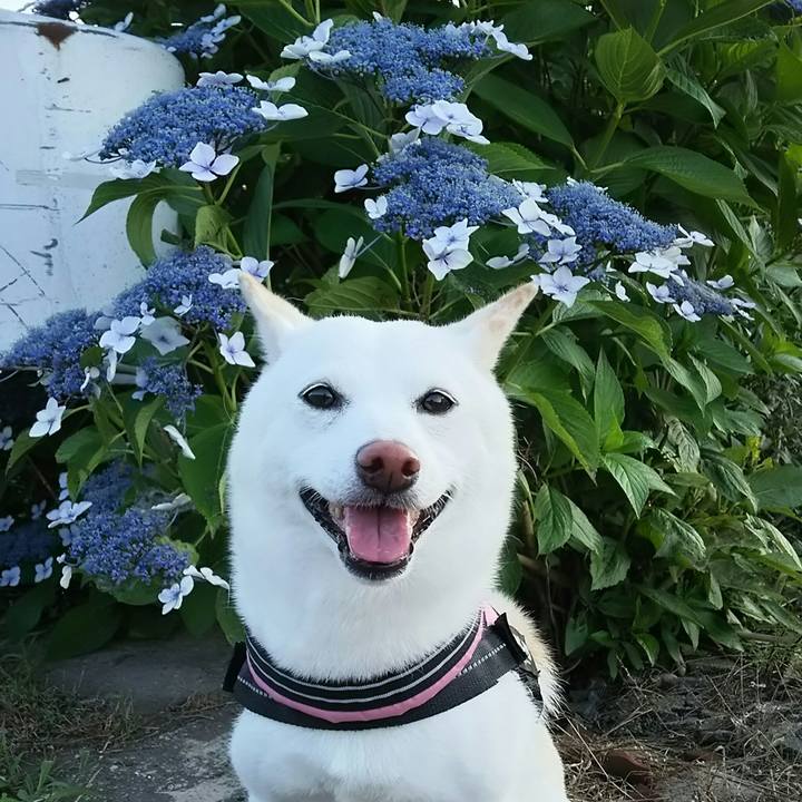 Cef6f67e ca6f 4c9a 97af f9ebdec20adf