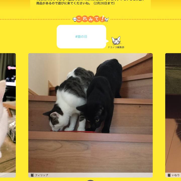 Cef71630 148c 48f1 89e5 de79bb537005