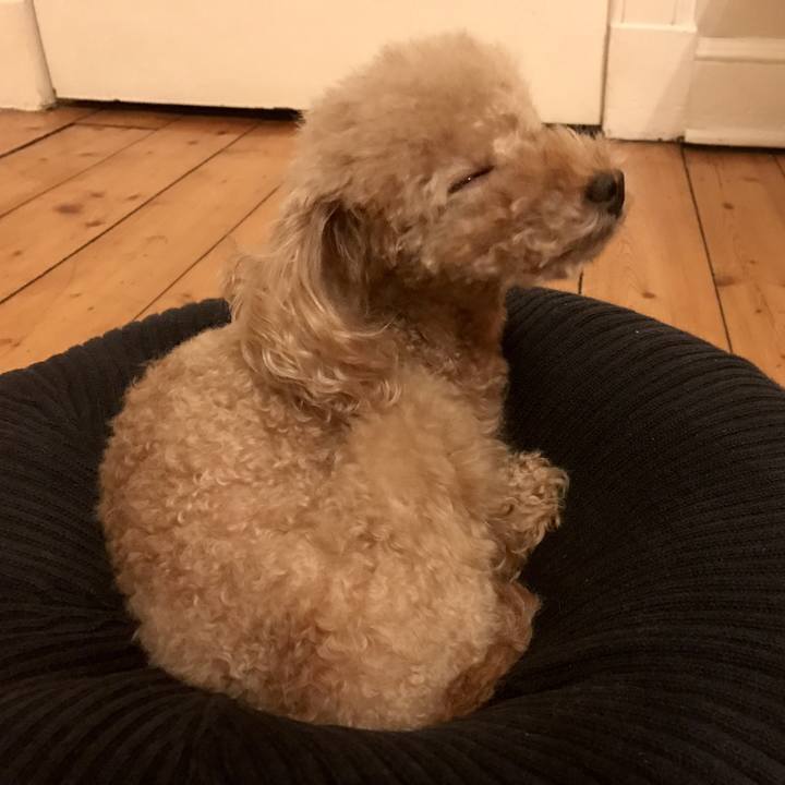 Cef78a3b 1c7b 4300 b0f1 39f34a74772f