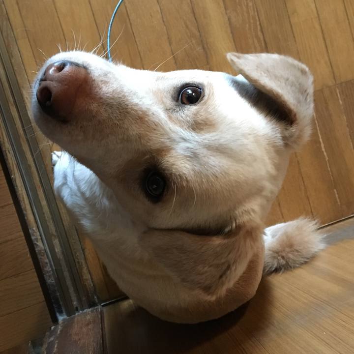 Cef7abe2 69bb 4b39 aa10 7775ff6ed6f7