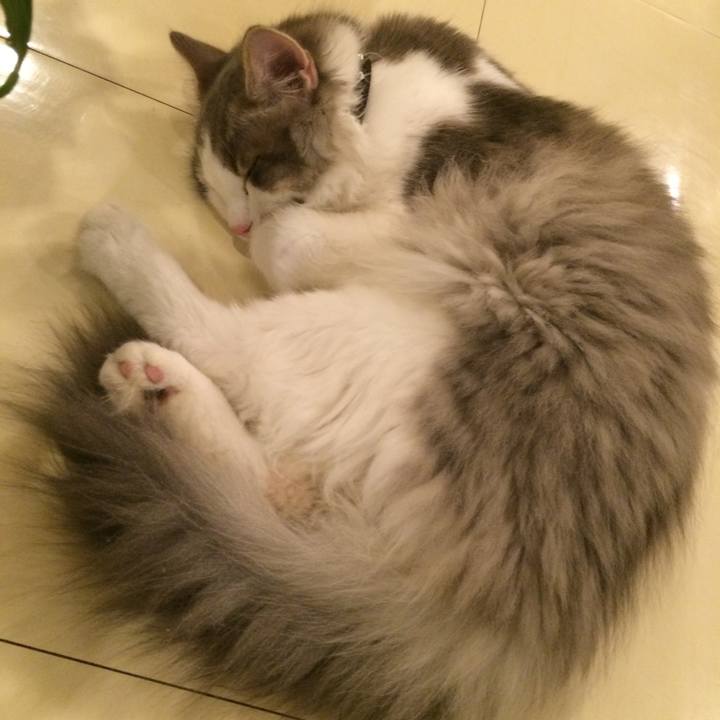 Cef85759 8a19 4c62 b995 236648aef948