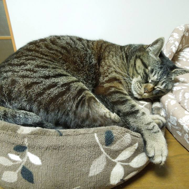 Cef8729e 92cb 4b71 8234 bfbb05b3df0b