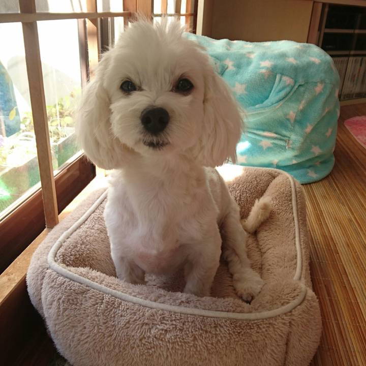 Cef89ac5 4e34 4088 a18c 72bdb039ba27