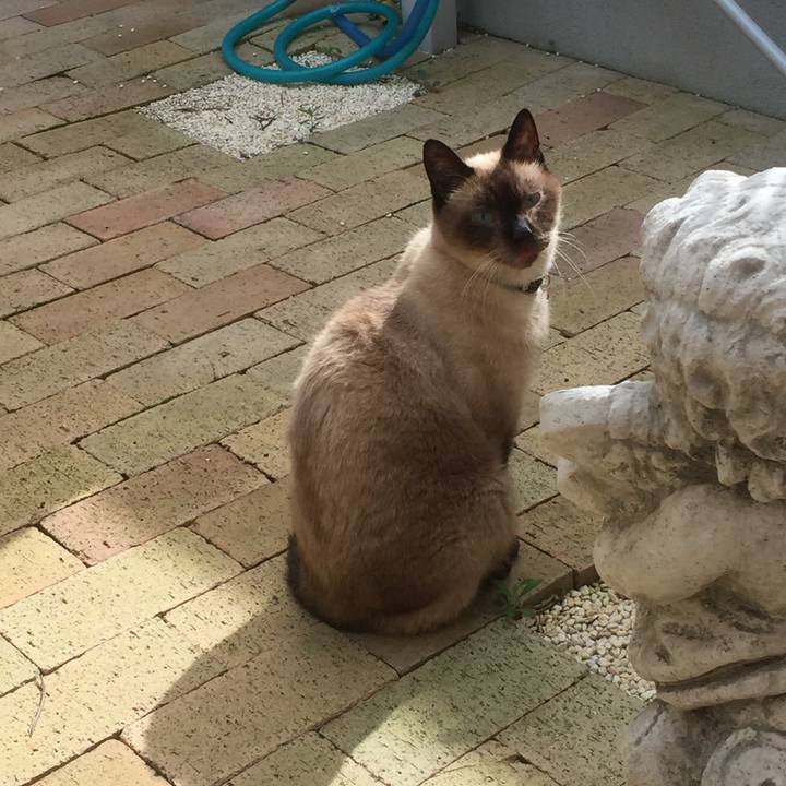 Cef8dcaf 23d3 4b13 b8a6 7e32a8c35af7