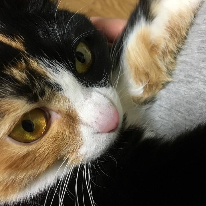 Cef8e9ca 280c 4522 8277 e8cb1718769d