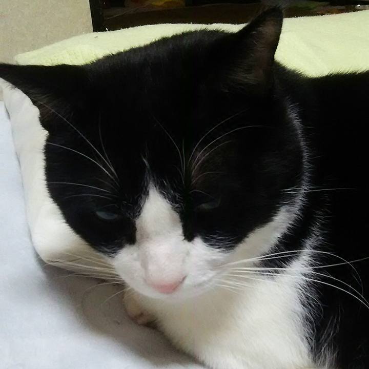 Cef8ea54 d61c 4a7e b068 779c0d5e181a