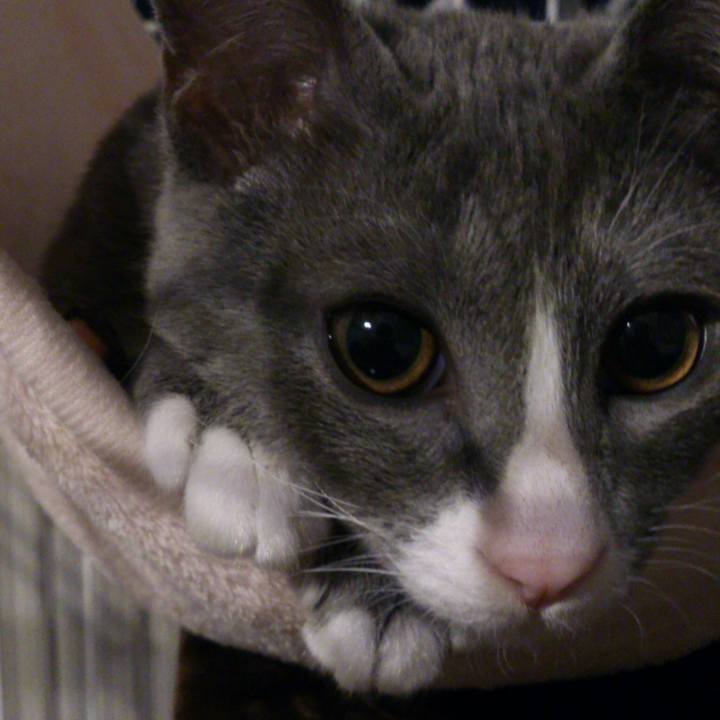 Cef95f68 0973 48a9 a121 87a79a11254c