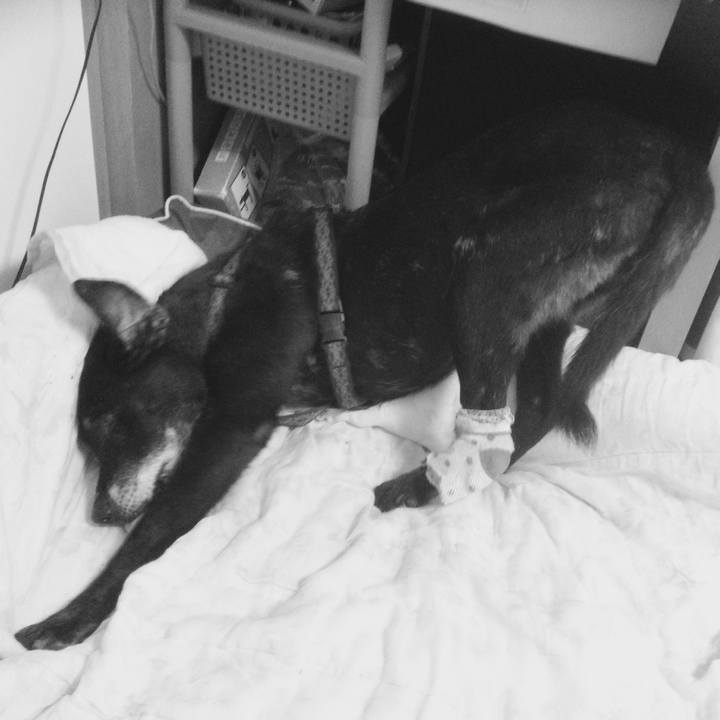 Cefa3bd6 b89e 4042 9e66 29e46aefcdd6