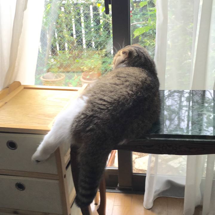 Cefa564b 975e 46a0 b67c 5b942542d269