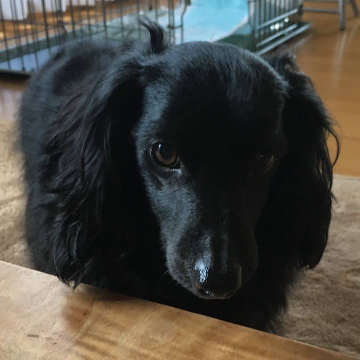 Cefad3d7 de63 4137 bb00 4f378fe83a93