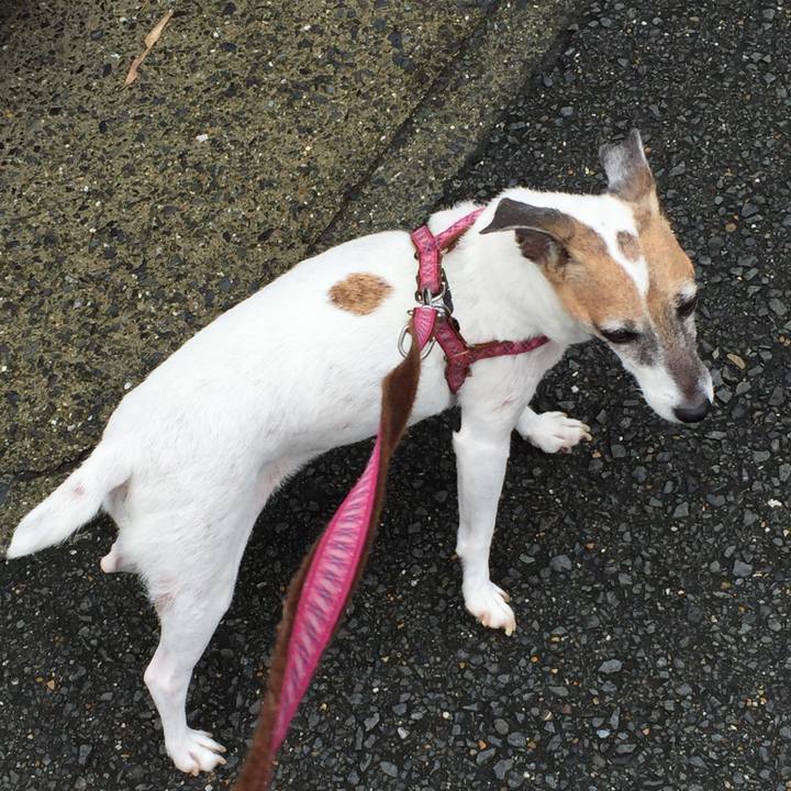 Cefb2f9e ddae 48c3 a55c d6aec5d42192