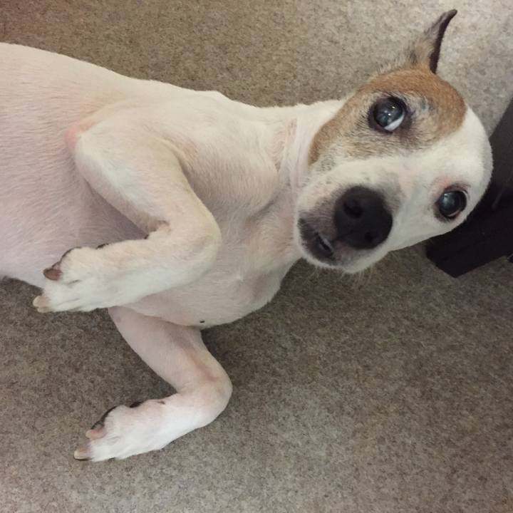 Cefb4966 9102 420d 9af5 c467c603f2f0